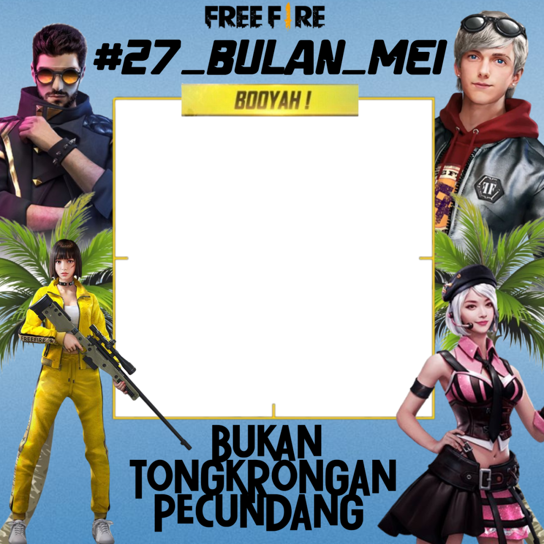 Frame Preview