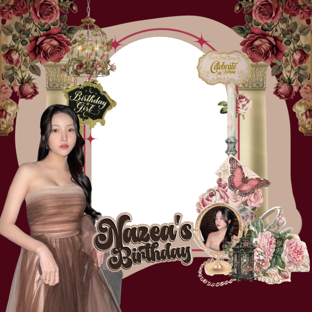 Frame Preview