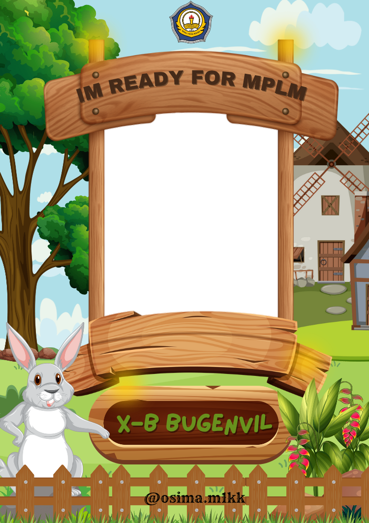 Frame Preview