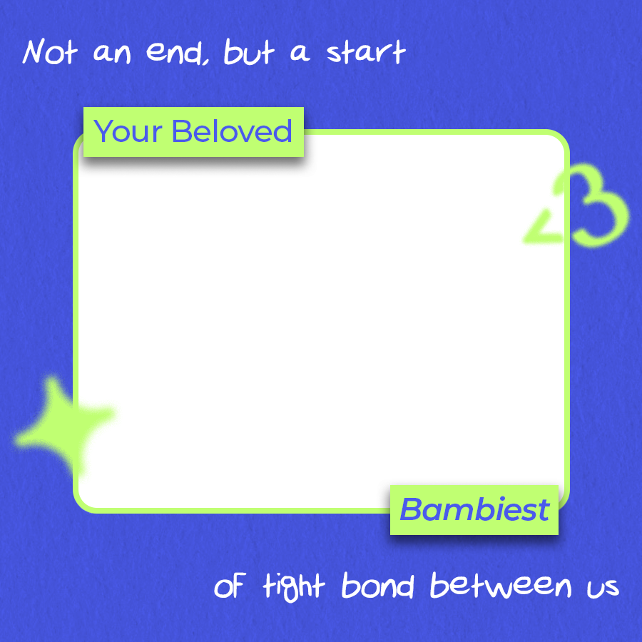 Frame Preview