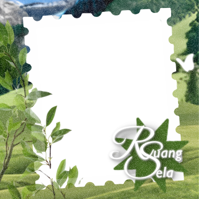 Frame Preview