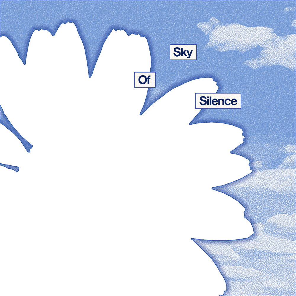 Frame Preview