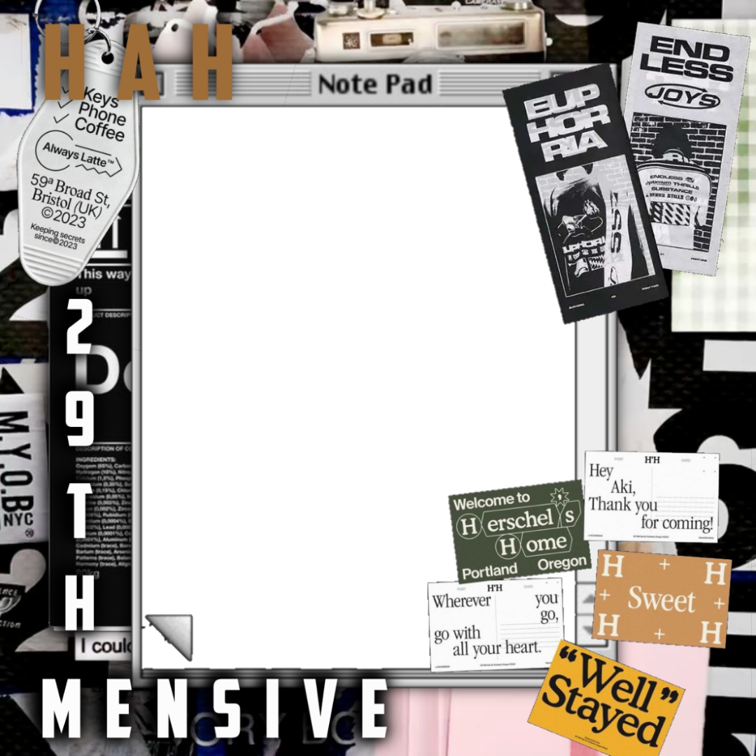Frame Preview