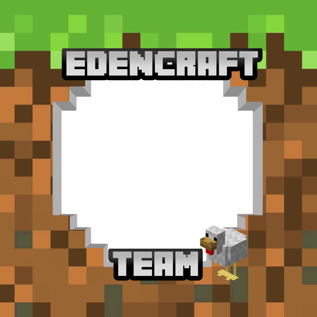 Frame Preview