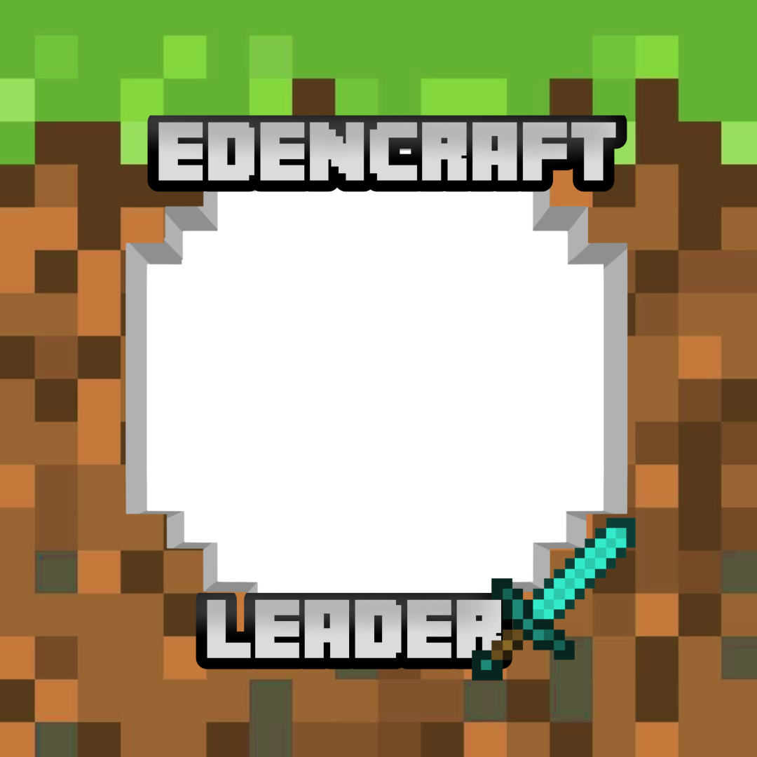 Frame Preview