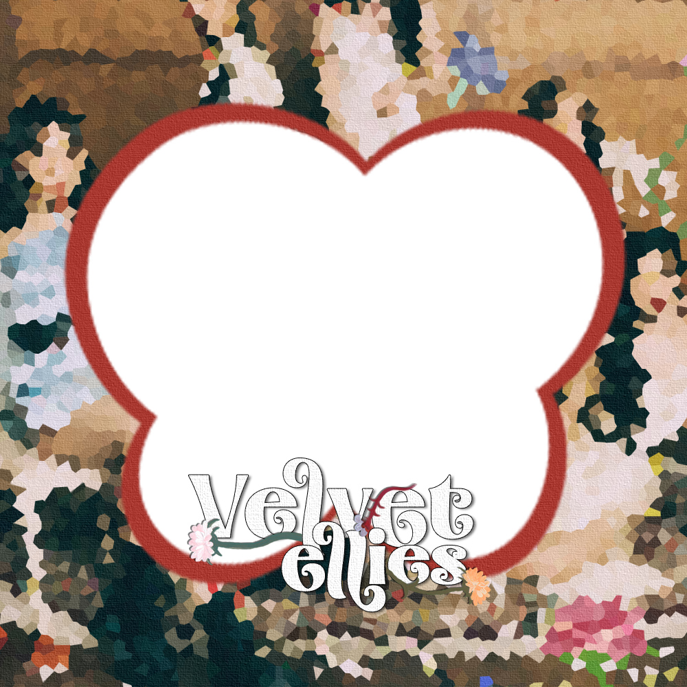 Frame Preview