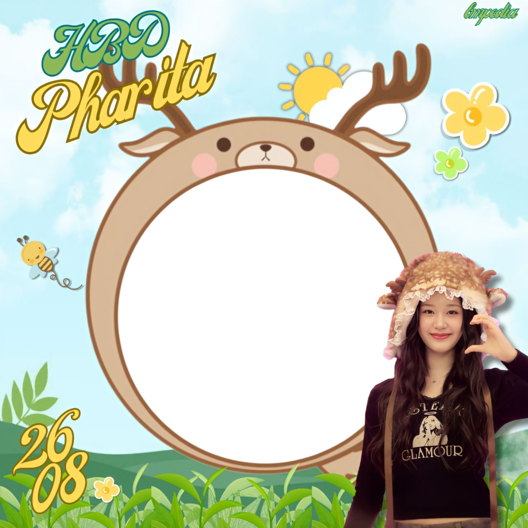 Frame Preview