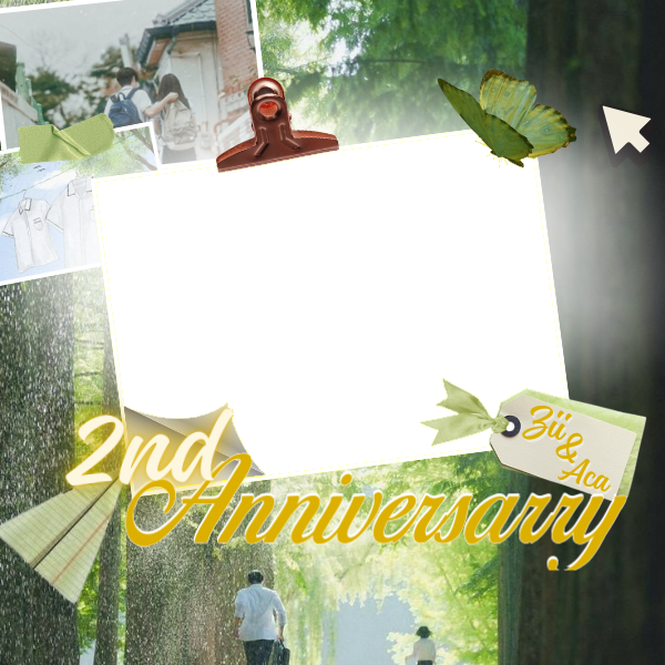 Frame Preview