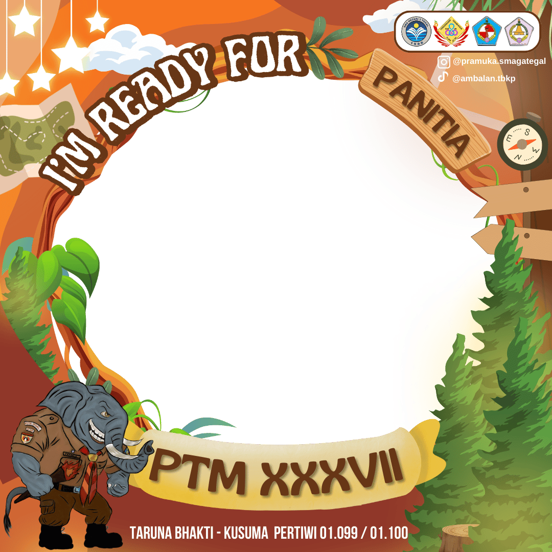 Frame Preview