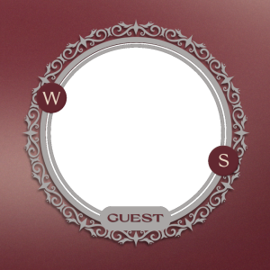 W1TOS13