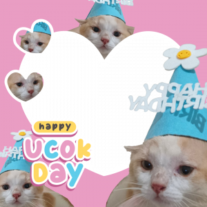HBD Ucok