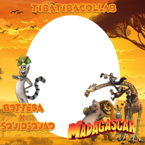 bottegaxsquidsquad