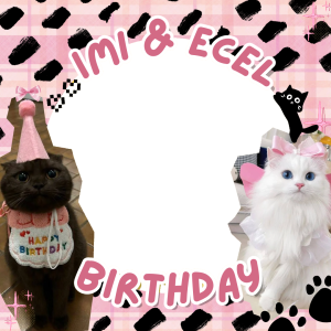 imi & ecel's birthday