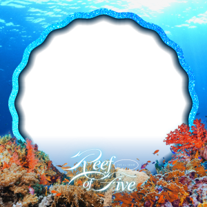 The A+ Show for MODELS