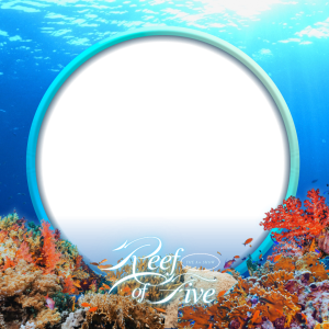 The A+ Show for GUEST