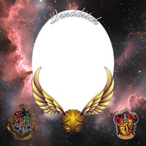 QUIDDITCH (GRYFFINDOR)