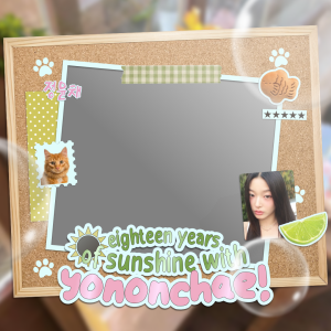 Eighteen Years of Sunshine with Yononchae! ★