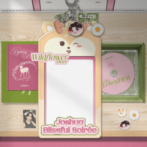 Joshua Blissful Soirée