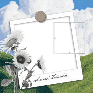 BenihMimpi — Mekar Sempurna